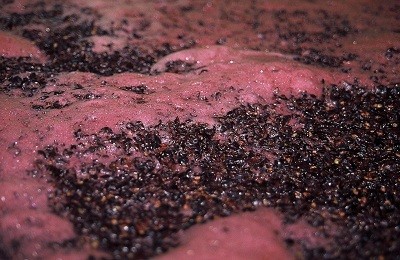 Технология и рецептура приготовления чачи – вкуснейшего виноградного напитка