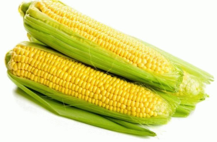 Как законсервировать кукурузу в початках на зиму