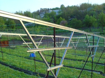 Шпалера для винограда: удачные идеи, чтобы увеличить урожай