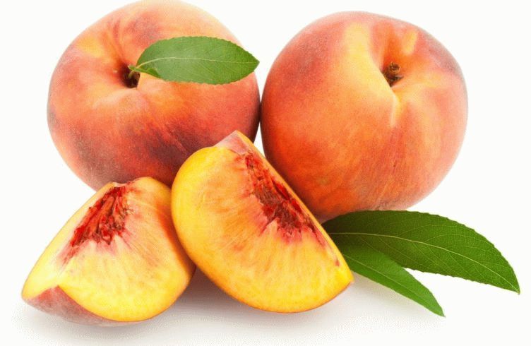 Как вырастить персик из косточки и будет ли он плодоносить
