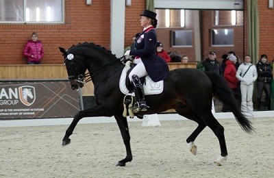 Характеристика и история развития лошадей русской верховой породы