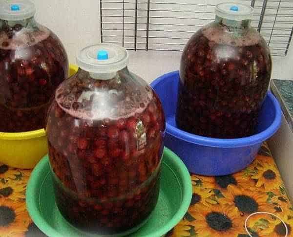 Как приготовить вишневую наливку из свежих ягод