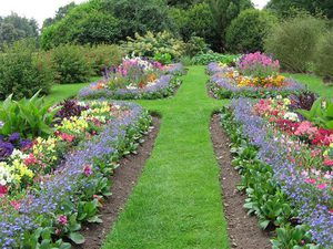 Фото и особенности разных видов садовых дорожек