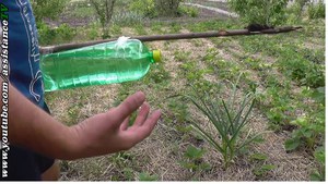 Как сделать своими руками капельный полив из пластиковых бутылок