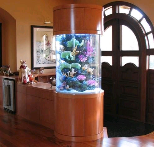 Морской аквариум в квартире 