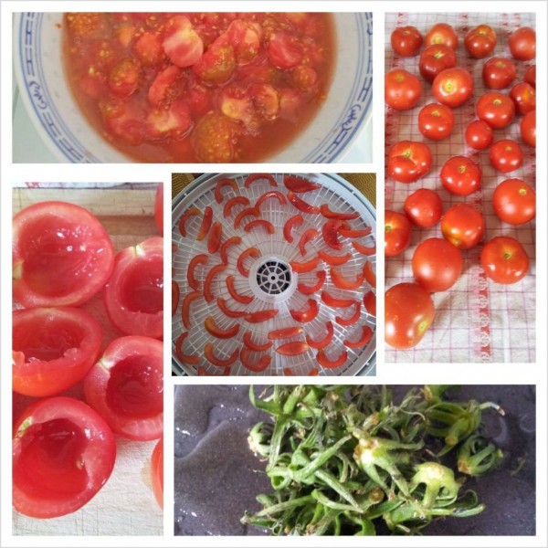 Как правильно засушить помидоры – рецепты.