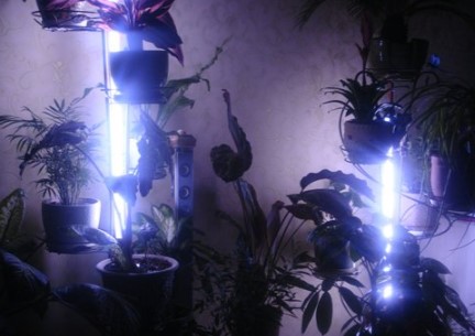 Подсветка комнатных растений