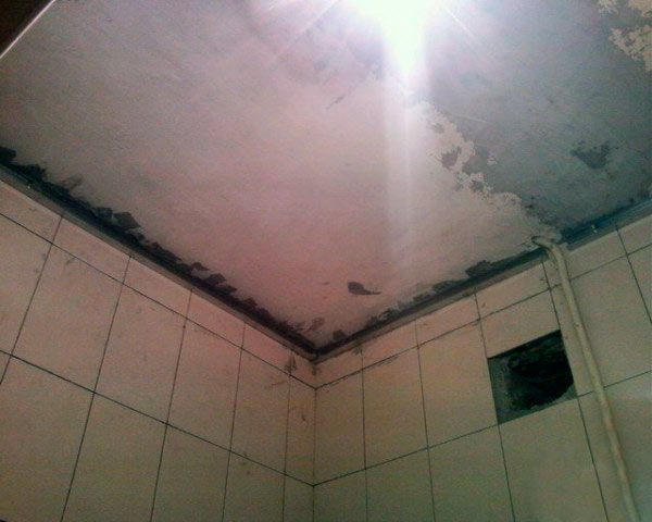 Потолок из пластиковых (ПВХ) панелей в ванной