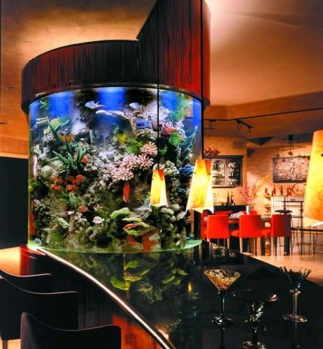 Морской аквариум в квартире 
