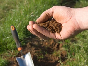 Какие виды почв требуют известкования, как его проводить