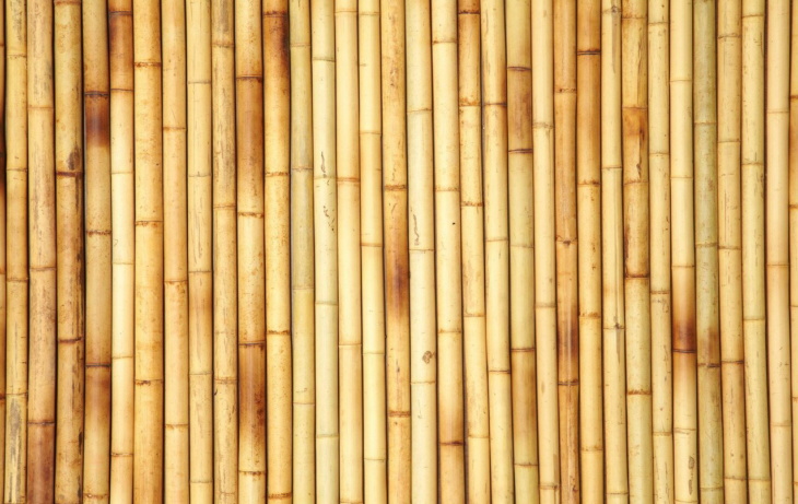 Стеновые и потолочные бамбуковые панели – свежесть леса в вашей комнате