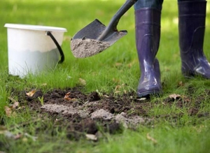 Какие виды почв требуют известкования, как его проводить
