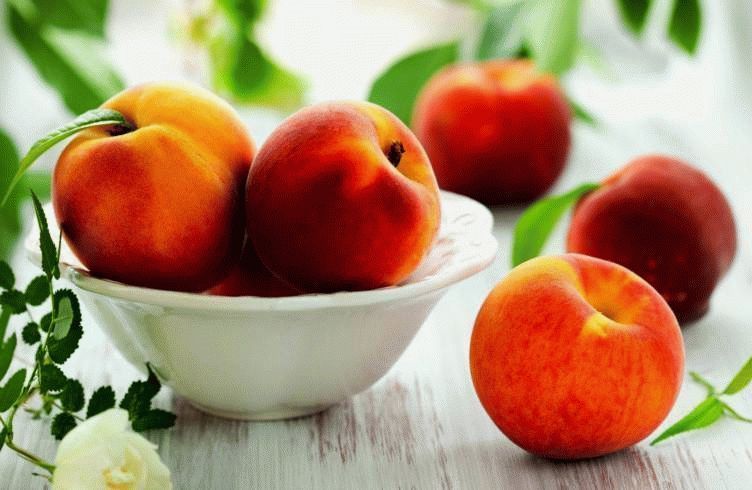 Лучшие сорта персика для Краснодарского края – уход и размножение