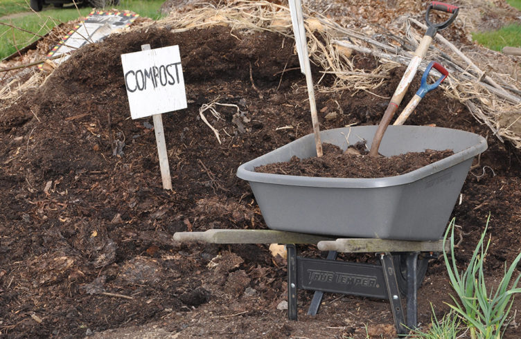 Как правильно приготовить компост на даче — советы и проблемы