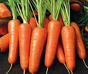 Как сохранить морковь