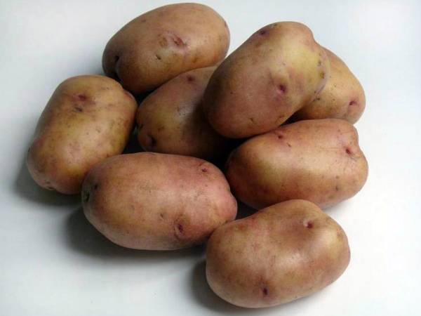 Как окучивать картошку вручную: советы новичкам