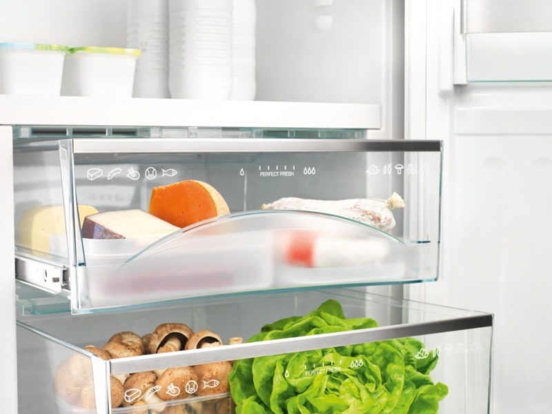Какой фирмы купить холодильник для дачи в 2018 году