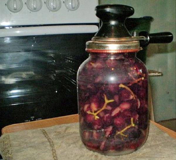 Рецепты компота из винограда на зиму на любой вкус