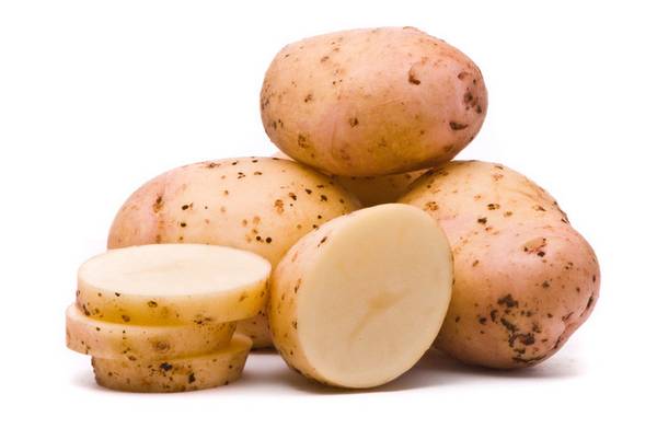 Отличный голландский сорт картофеля Импала