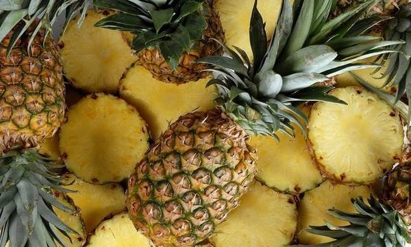 Способы выращивания ананасов в домашней теплице