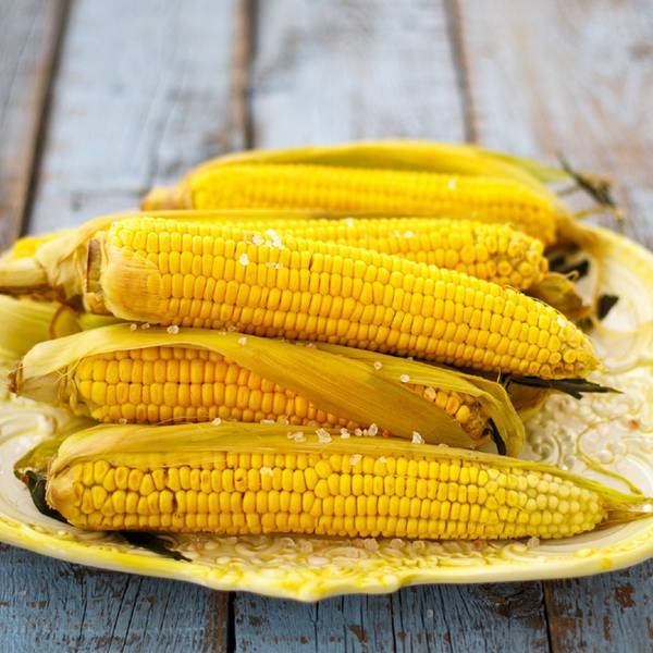 Возможно ли выращивание кукурузы на даче, и что для этого требуется?
