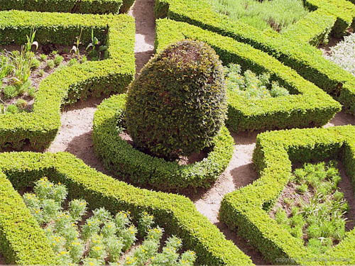 Сад во французском стиле 