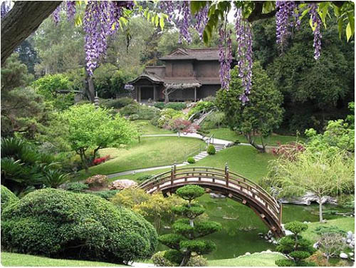 Сад в японском стиле 